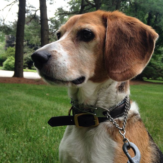 Furbaby Friday!
