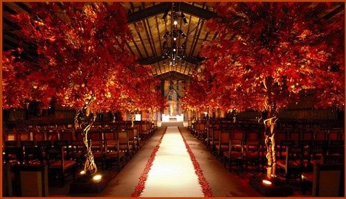 Ceremony Inspiration?