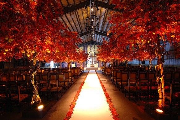 Can I see how your aisle was (or is going to be) decorated?
