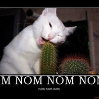 NWR.....Random Friday pics