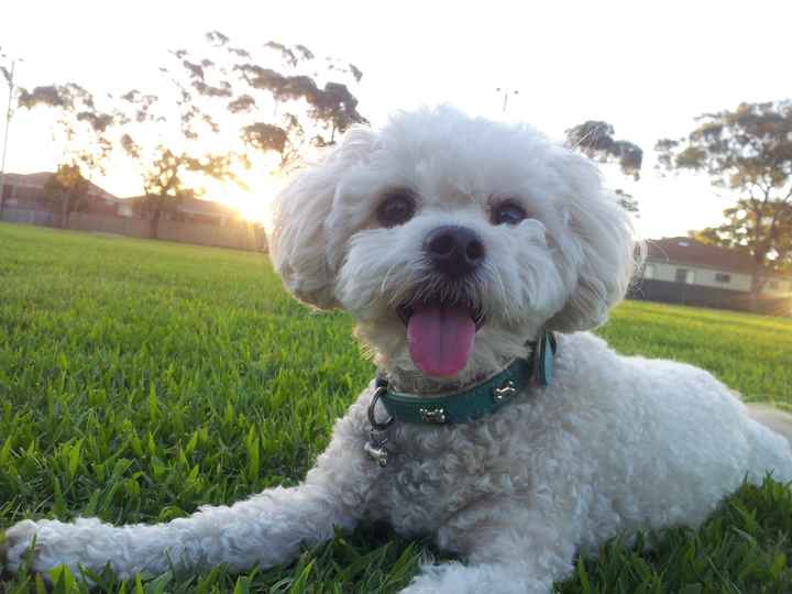 NWR: Mrs. A & J - This one's for you!!