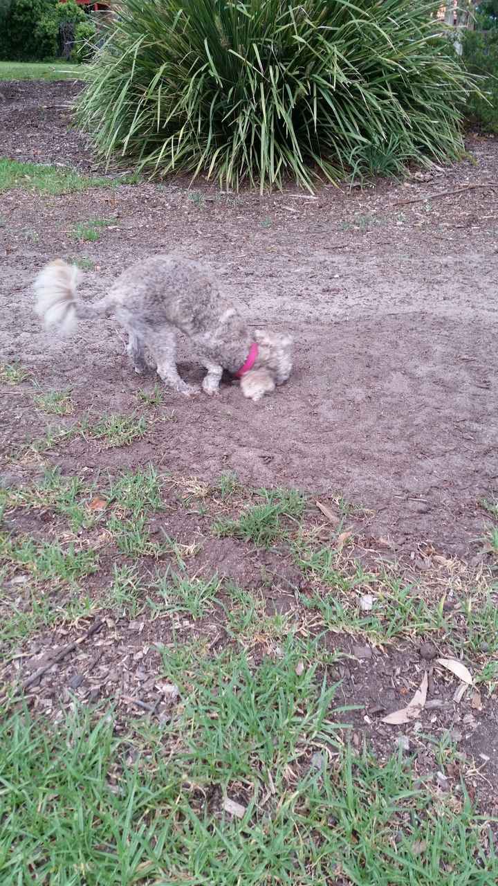 NWR: Mrs. A & J - This one's for you!!