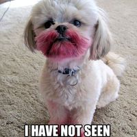 NWR: Rough morning...