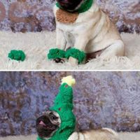 NWR: Rough morning...