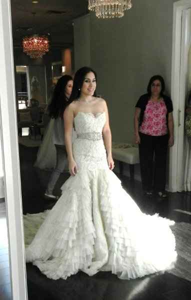 Tried on the "Dream Dress"