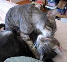 This is how I feel about wedding planning....