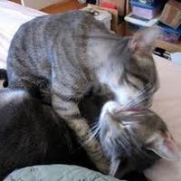 This is how I feel about wedding planning....