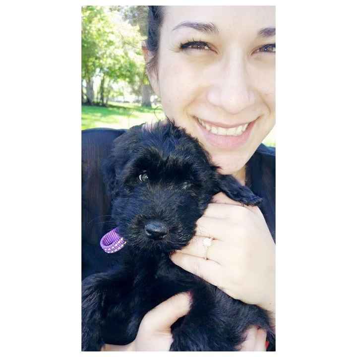 Introducing myself! : )