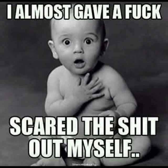 Sister Envy... Battle of the Weddings