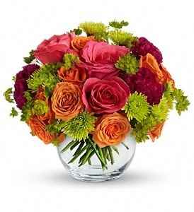 I feel bad, I told a small fib...................