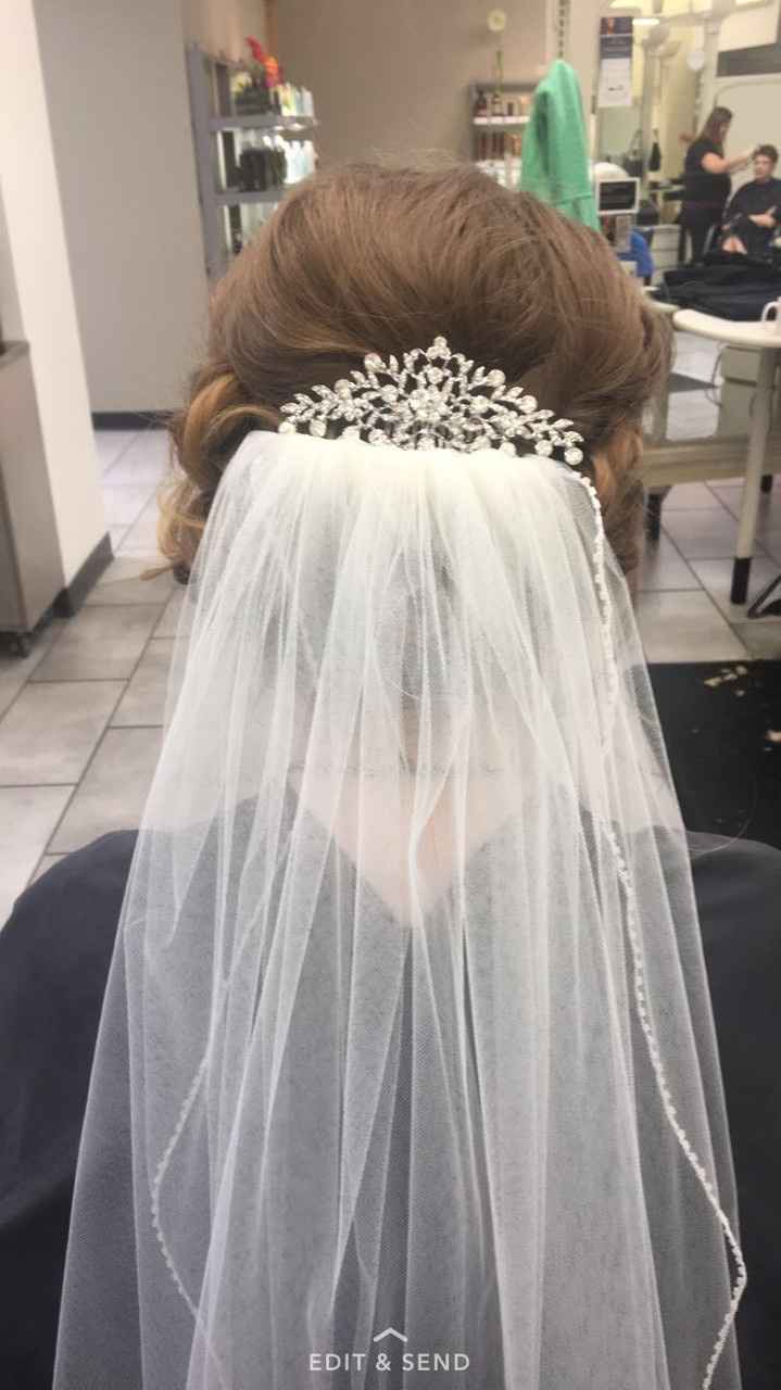 Anyone DIY the Veil?