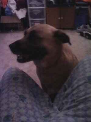 New Furrbaby!!