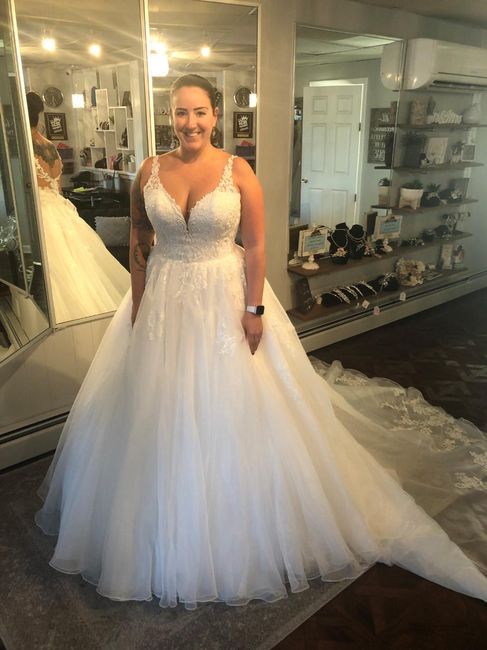 THE DRESS