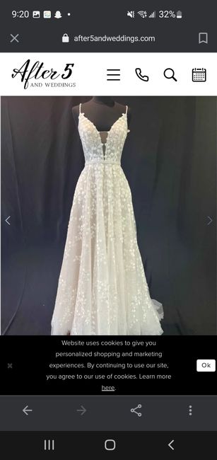 This dress (fluffy) or sleek satin (with train)? 3