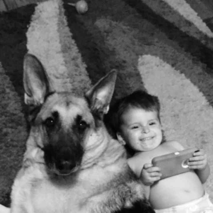 Fur babies