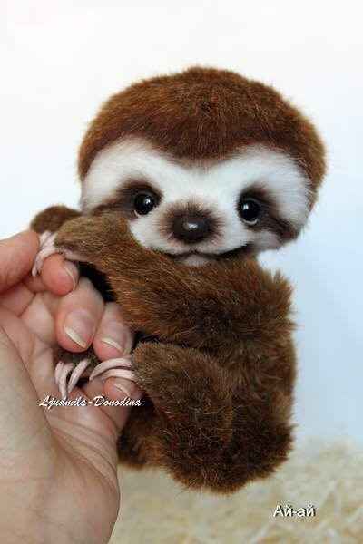 Cutest Thing You'll See All Day