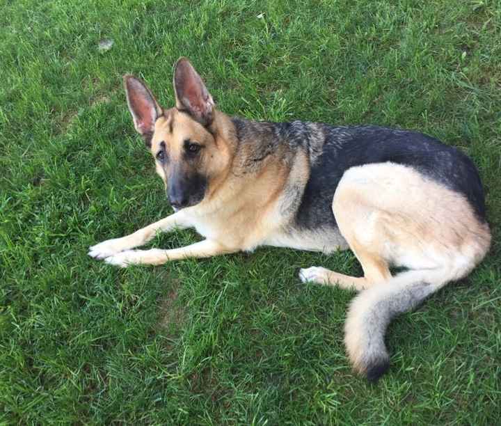 NWR:  Show me your babies!