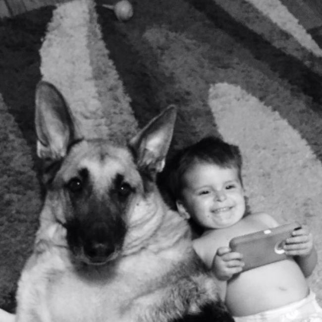 Fur babies