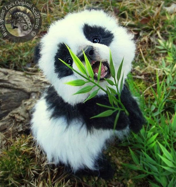 Cutest Thing You'll See All Day