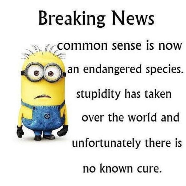 NWR:  Share some Memes