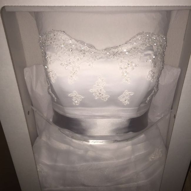 Preserved wedding dress