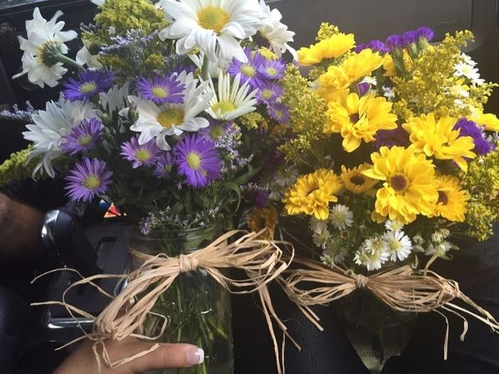 What do you think of wildflowers?