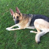 NWR:  Show me your babies!