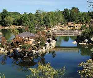 FM Gardens Japanese Garden