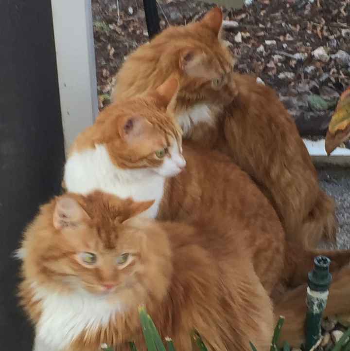 The line of 1000+ people