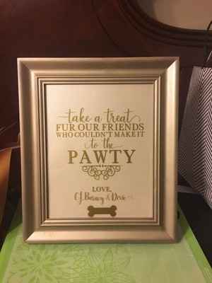 Crazy cat (or animal) people out there?