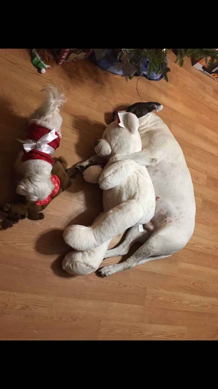 Just need to vent and cry a little