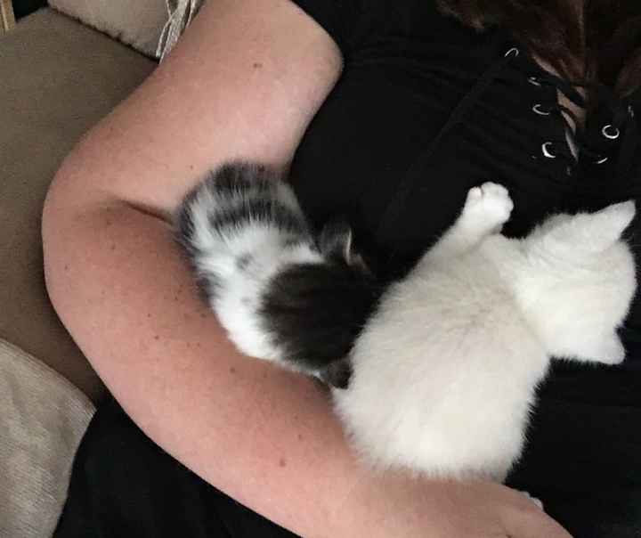 Something old, something new...