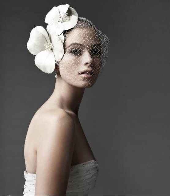 Where to find this birdcage veil