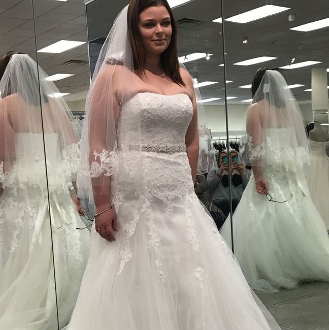 Davids Bridal Dresses!