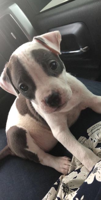little baby