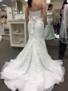 So I ordered my dress...