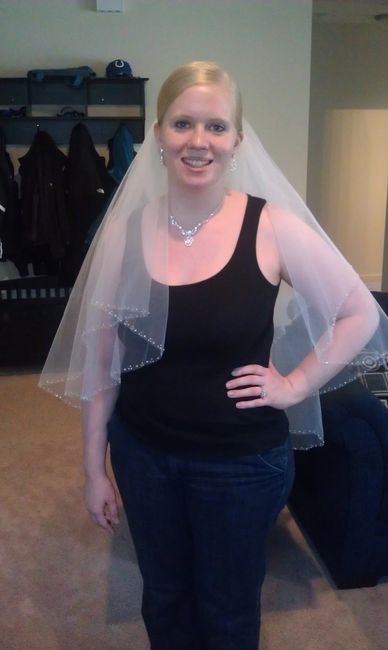 Can't imagine spending 275$ on a veil...