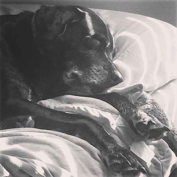 NWR: Show me your pups!