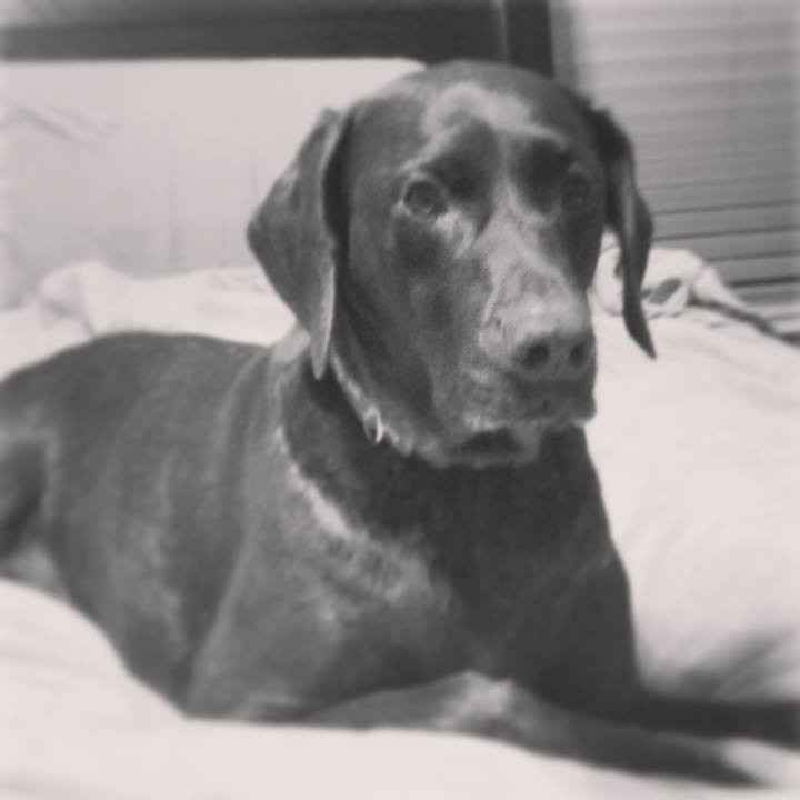 NWR: Show me your pups!