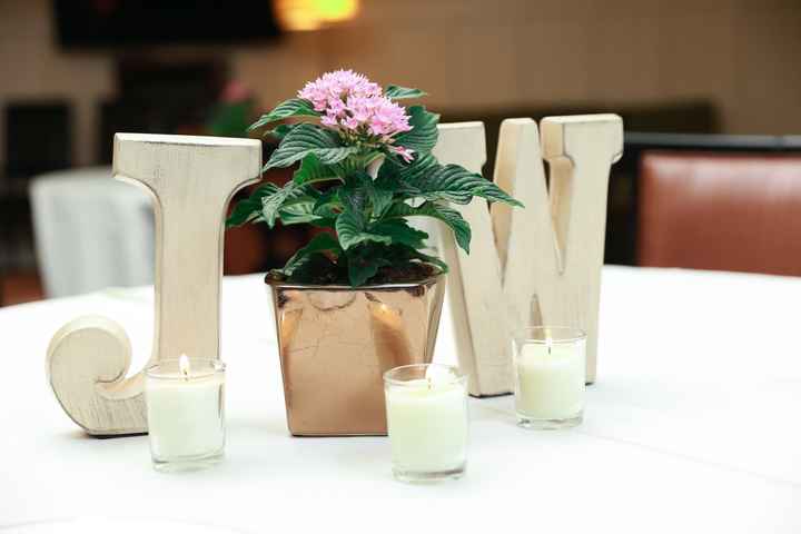 Jenna's BAM!! PRO PICS - Pic Heavy