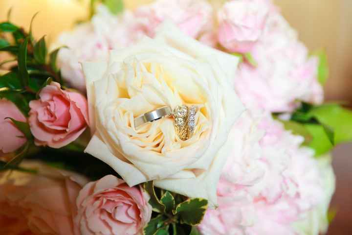 Jenna's BAM!! PRO PICS - Pic Heavy