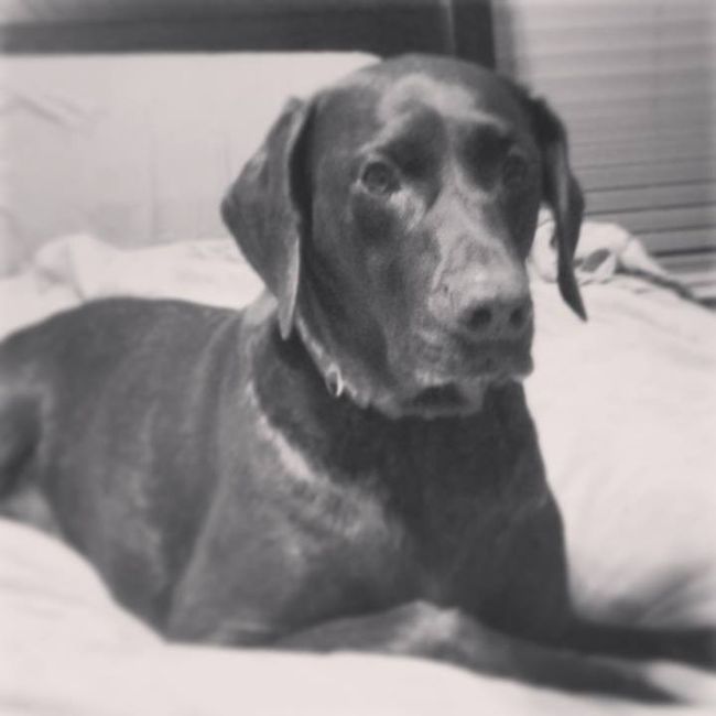 NWR: Show me your pups!