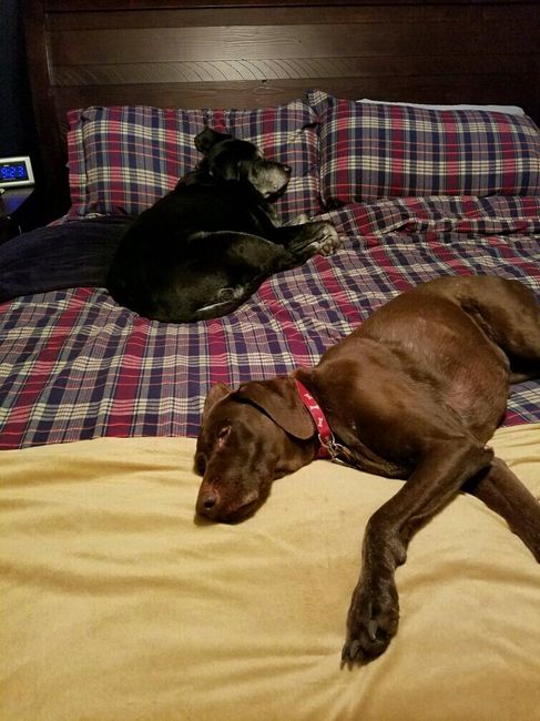 NWR- let me see your fur babies, awake and scared