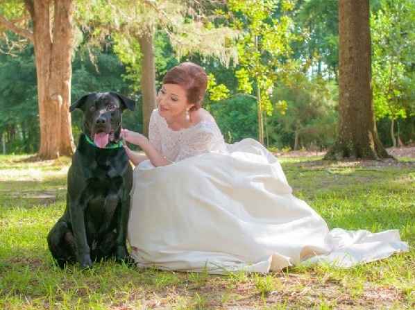 Fur babies with engagement/wedding photos