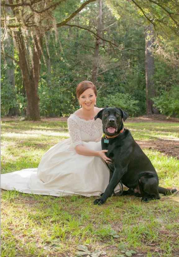 Fur babies with engagement/wedding photos