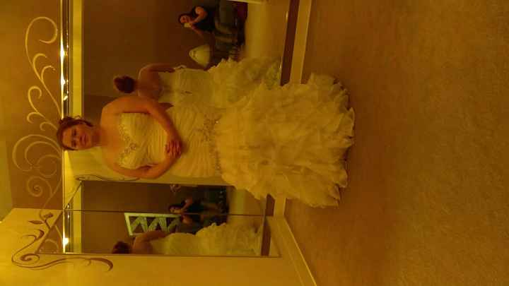 Let Me See Your Dresses: Plus Size Edition