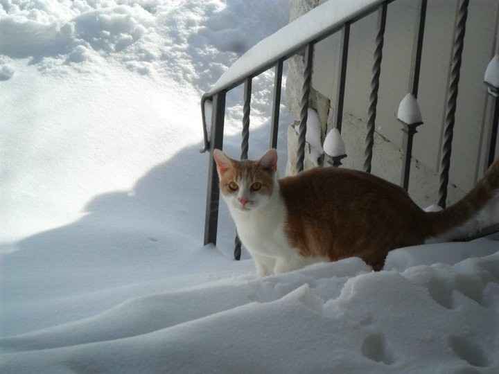 Stupid Meltdown! Words of love needed