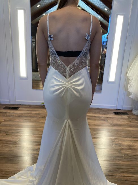 Can alterations be made to this dress to take the beading off? - 1