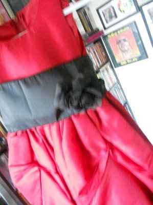 ordered my fg dresses on ebay!! 16.99 each!!update-they arrived!!*pics*