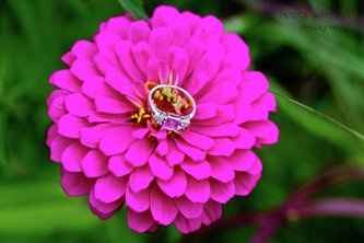 my engagement pics...